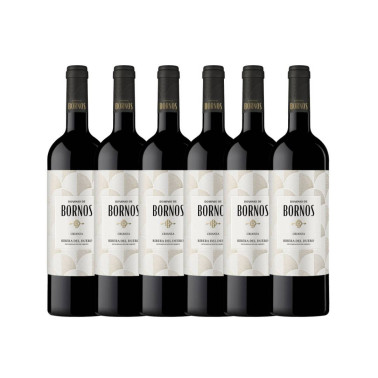 Dominio de Bornos Crianza 2022