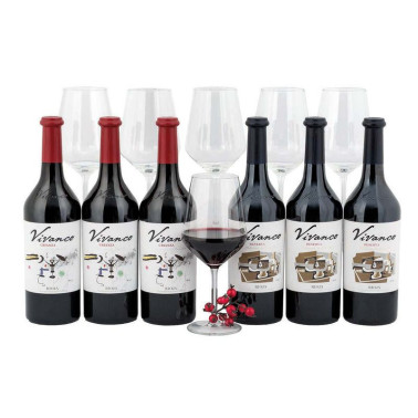 Lote Vino Vivanco